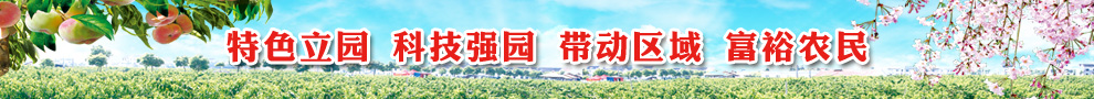深入学习党的群众路线活动